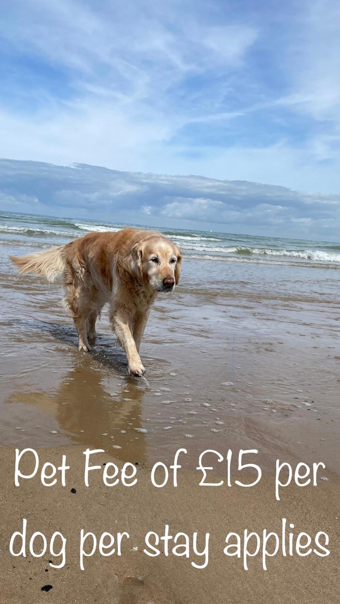 Fab Stay Uk - Coastal And Country Retreat With Free Secure Off Road Parking Minutes From Both Dover And Deal Exteriör bild